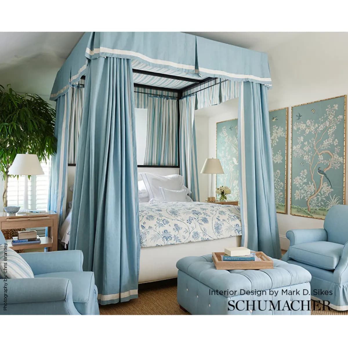 Chinoiserie Vine_ CHINA BLUE