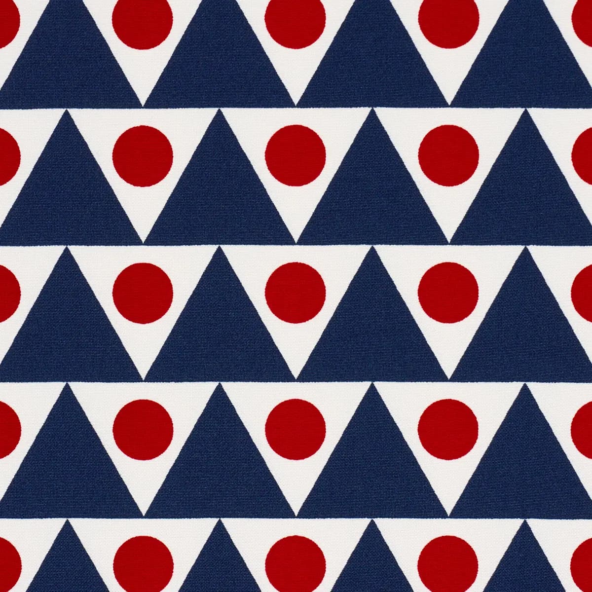 PENNANT II INDOOR/OUTDOOR_ NAVY & RED