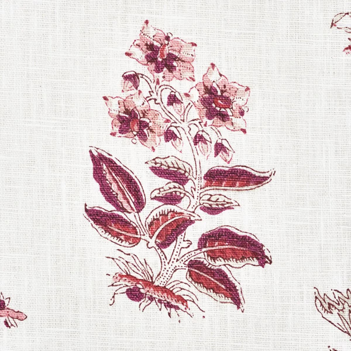 BUNNY_ AUBERGINE