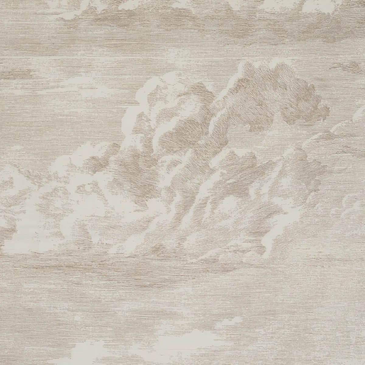 CLOUD TOILE_ CHAMPAGNE