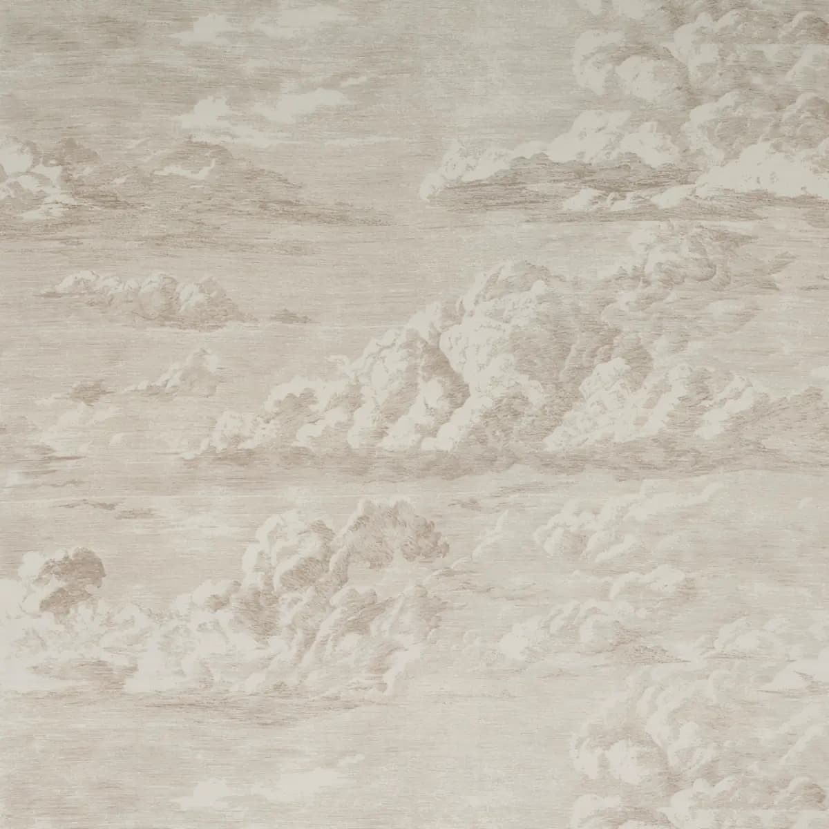 CLOUD TOILE_ CHAMPAGNE