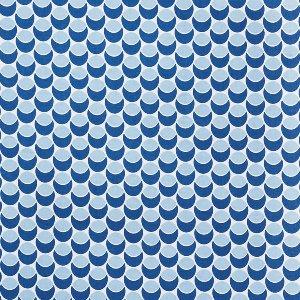 BUDS_ NAVY & SKY