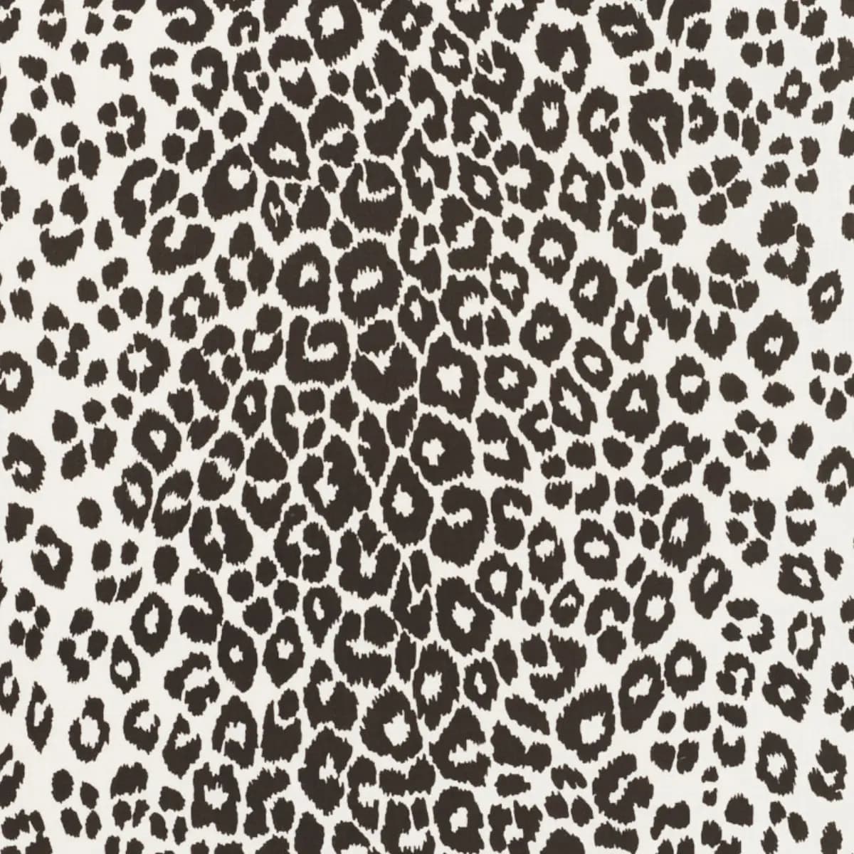 ICONIC LEOPARD INDOOR/OUTDOOR_ GRAPHITE