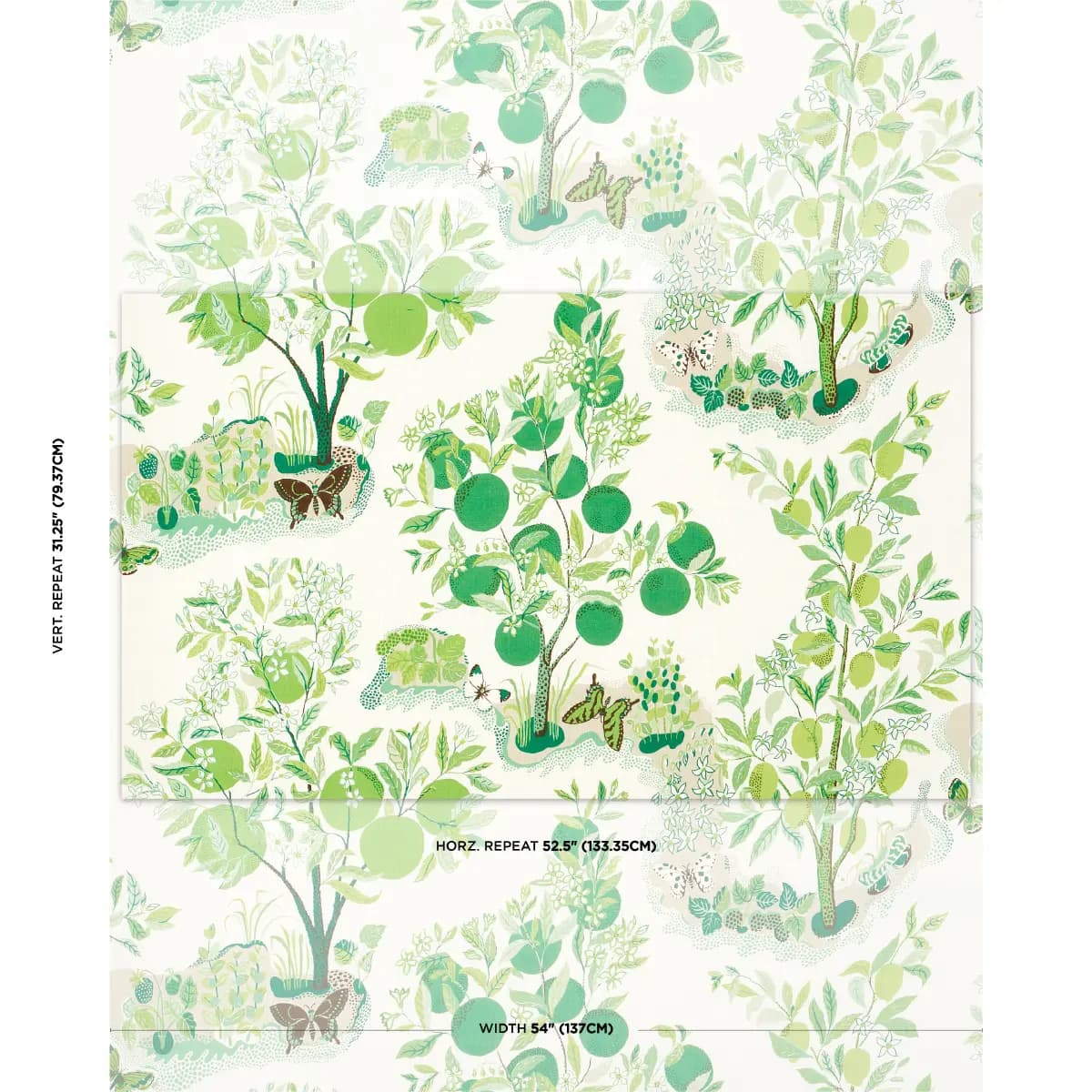 CITRUS GARDEN INDOOR/OUTDOOR_ LEAF