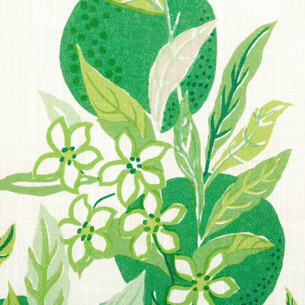 CITRUS GARDEN INDOOR/OUTDOOR_ LEAF