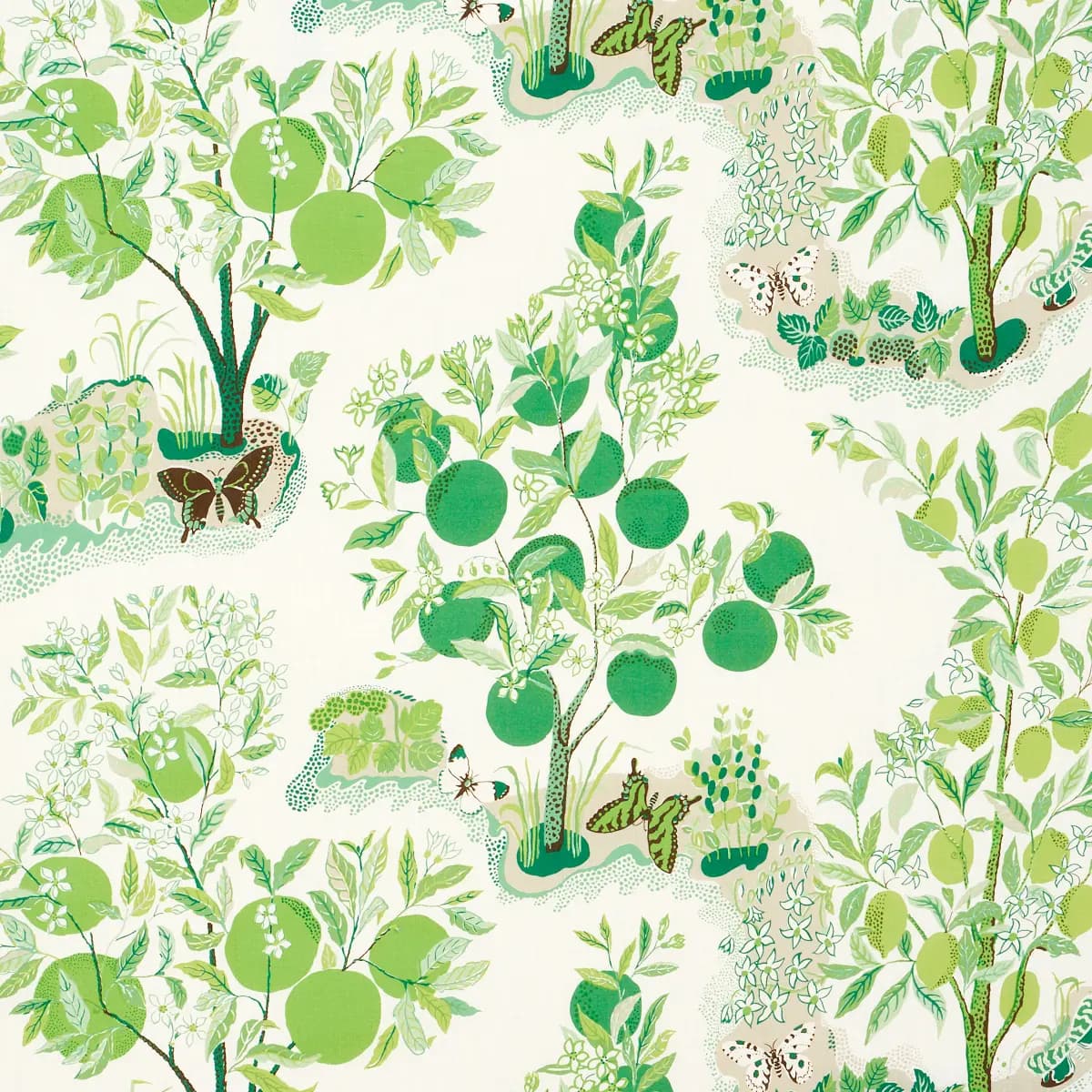 CITRUS GARDEN INDOOR/OUTDOOR_ LEAF