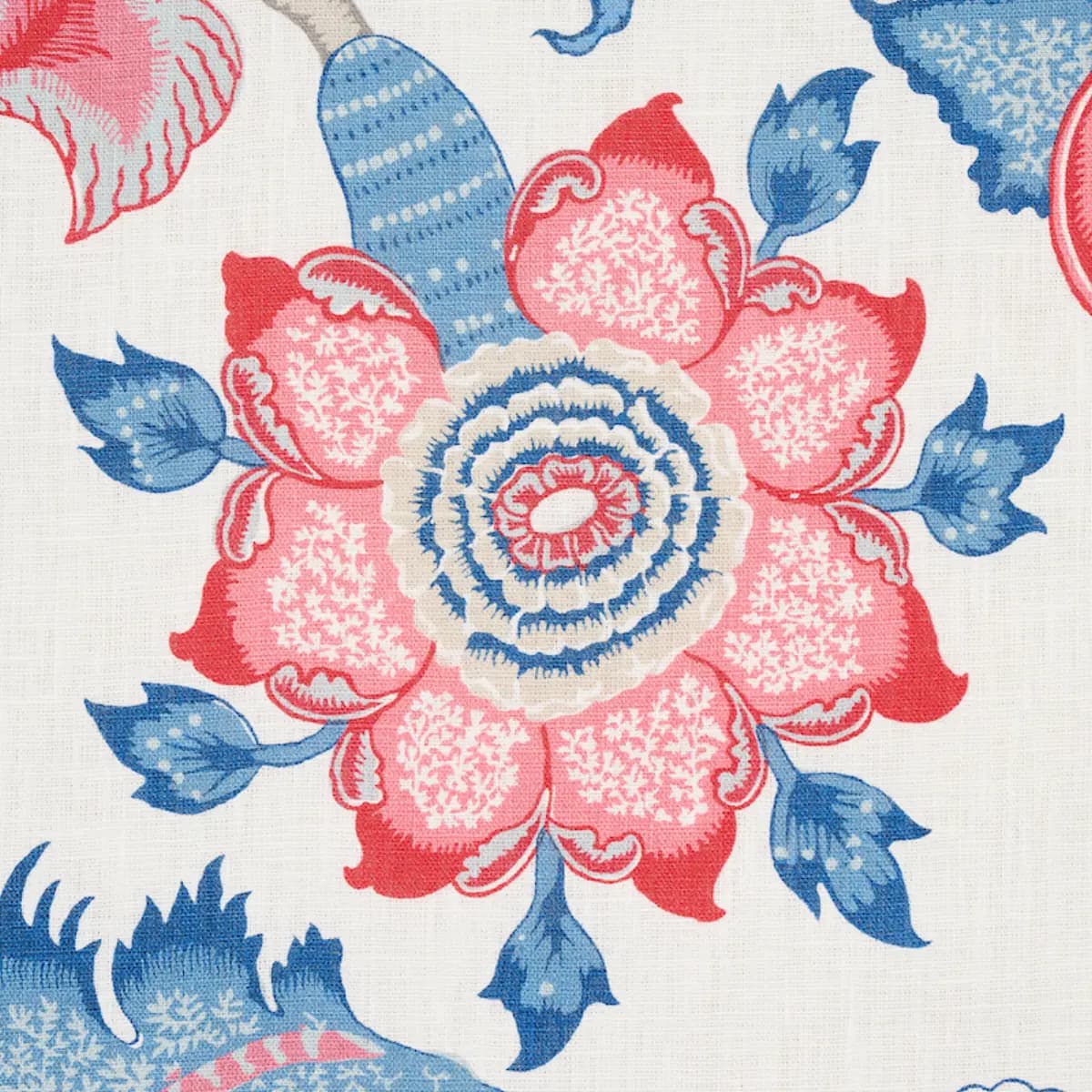 ARBORVITAE_ ROSE & DELFT