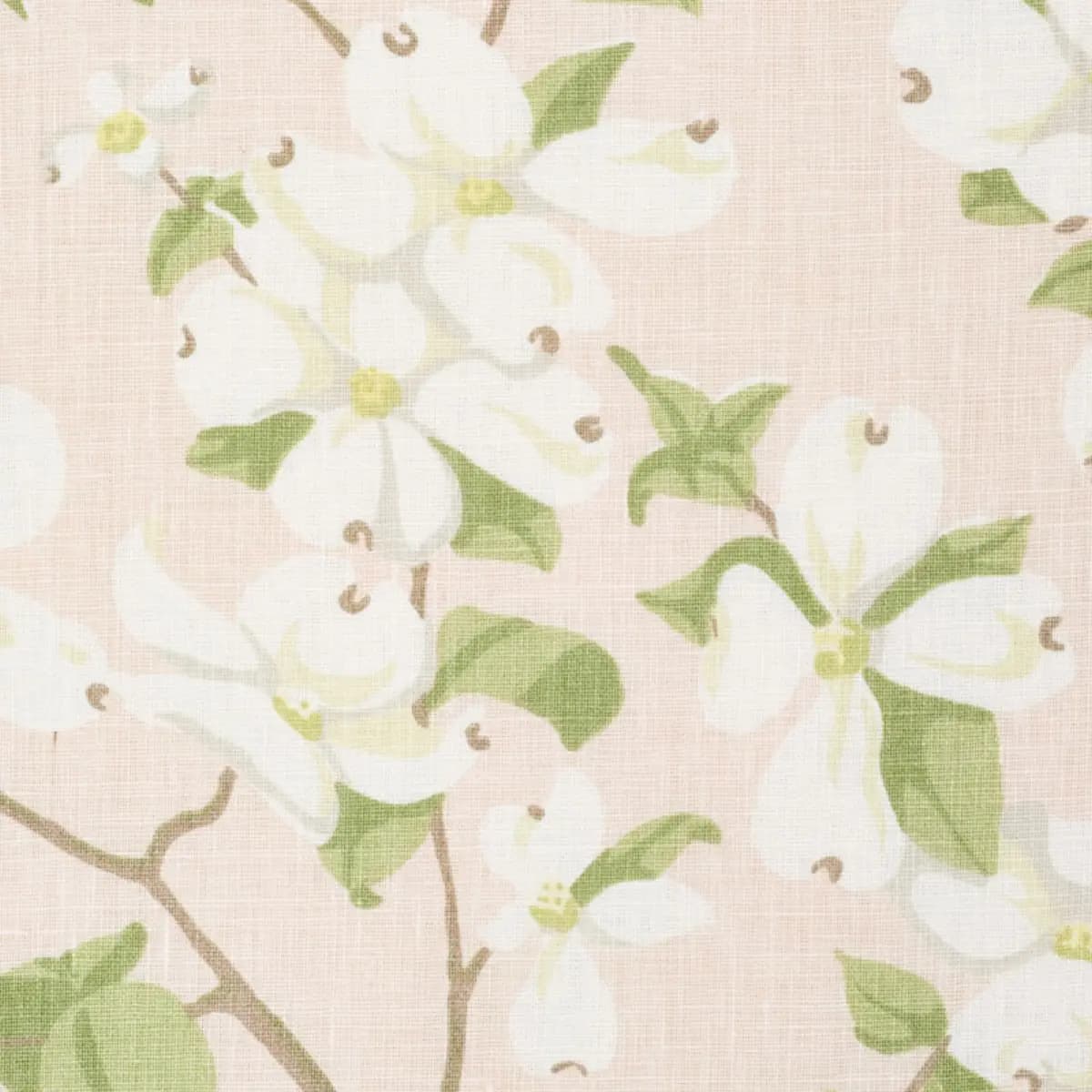 BLOOMING BRANCH_ BLUSH