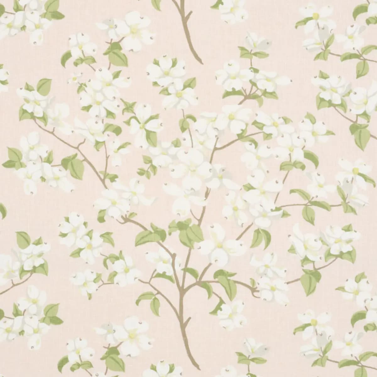 BLOOMING BRANCH_ BLUSH