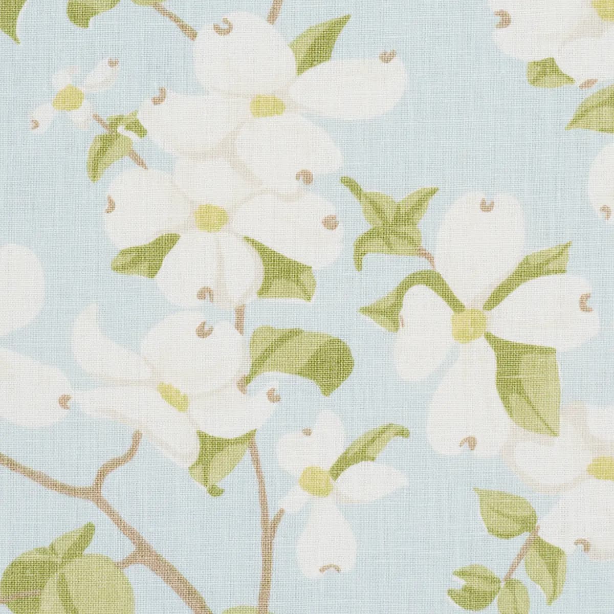 BLOOMING BRANCH_ SKY