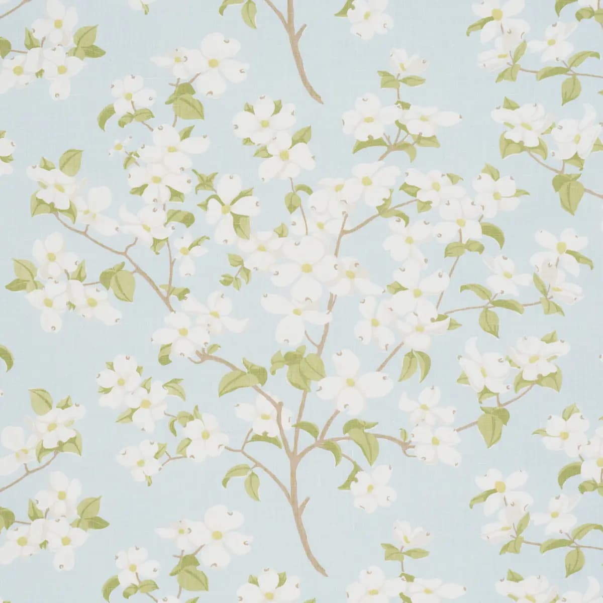BLOOMING BRANCH_ SKY