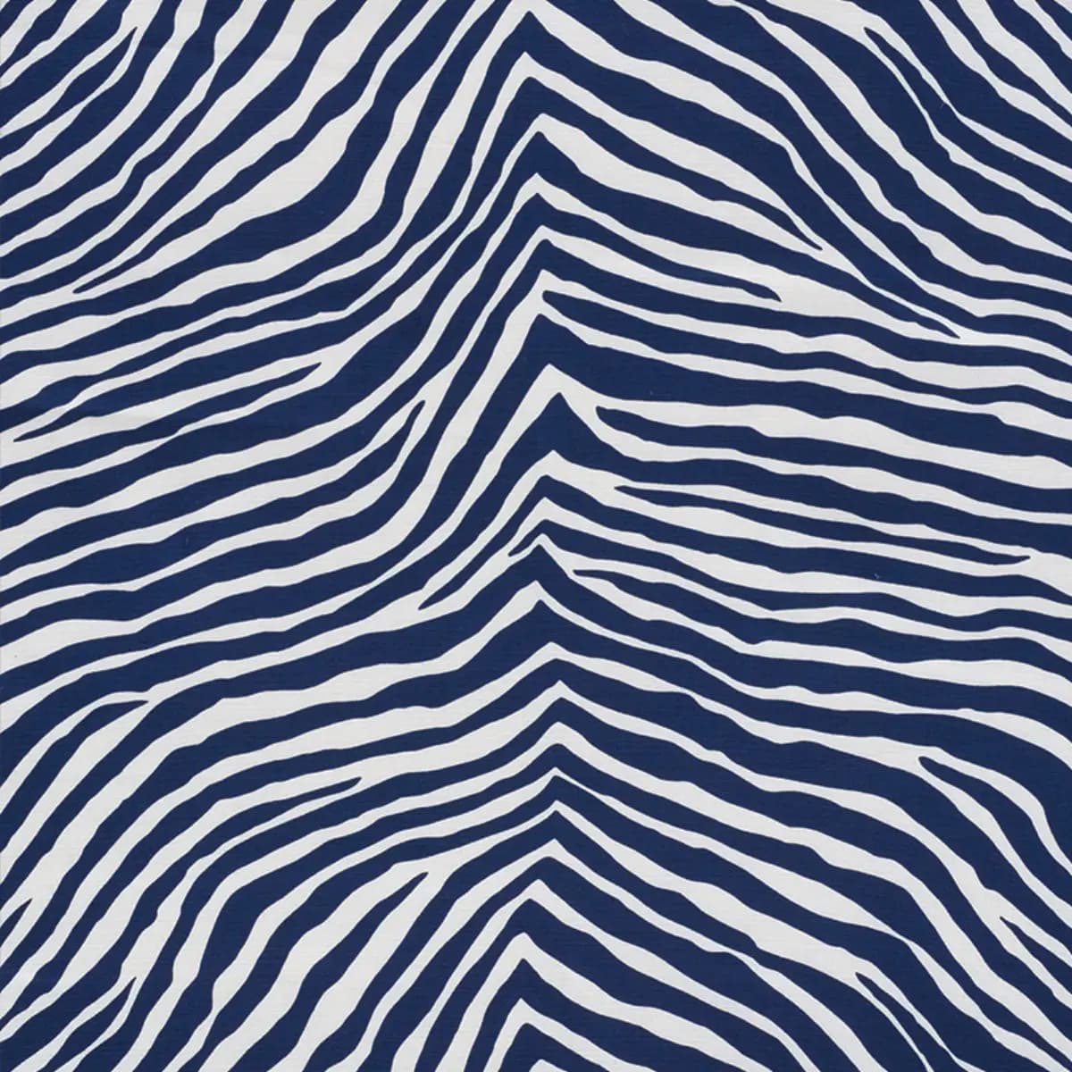 ICONIC ZEBRA_ BLUE
