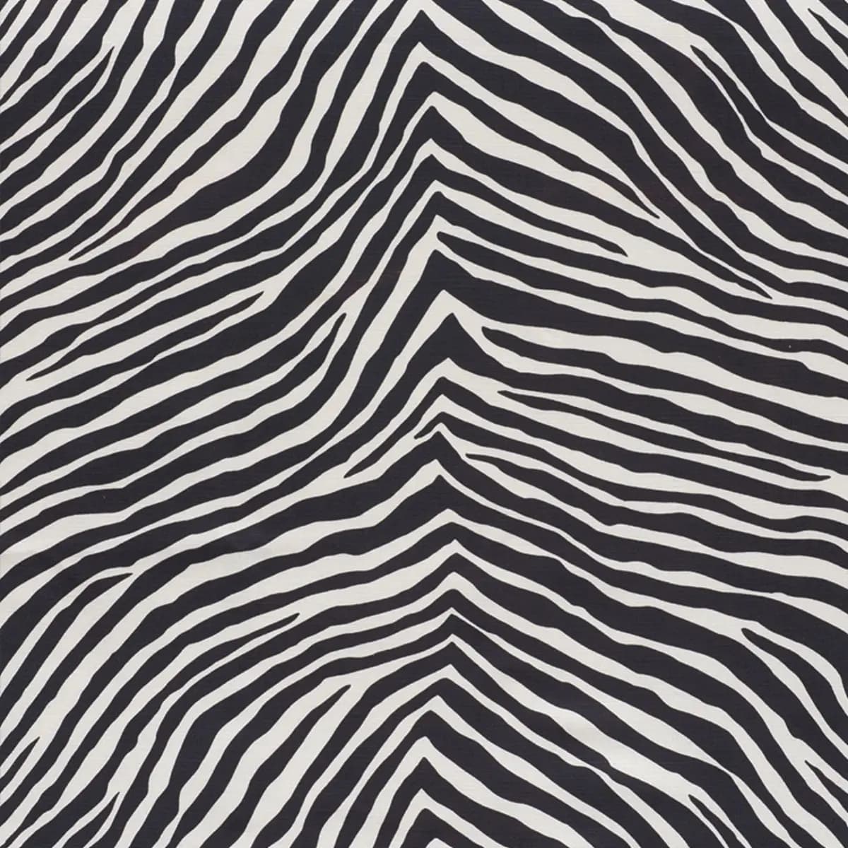 ICONIC ZEBRA_ BLACK