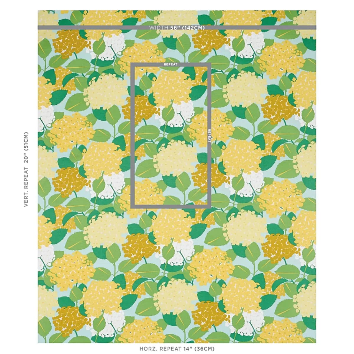 HYDRANGEA_ YELLOW