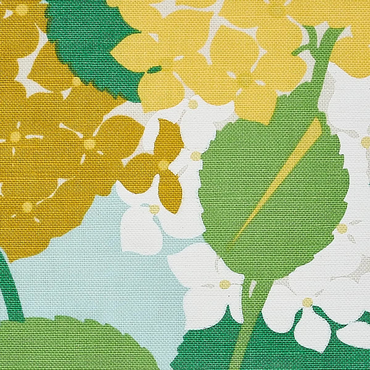 HYDRANGEA_ YELLOW