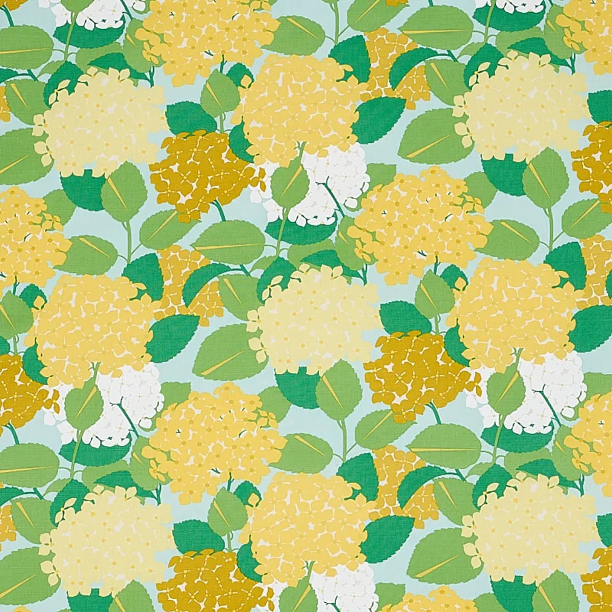 HYDRANGEA_ YELLOW