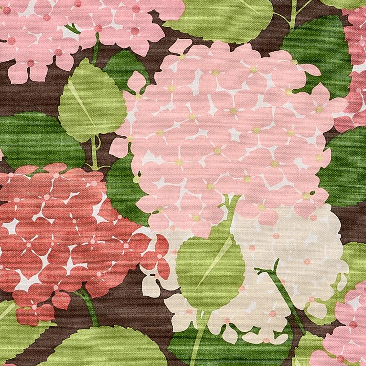 HYDRANGEA_ PINK