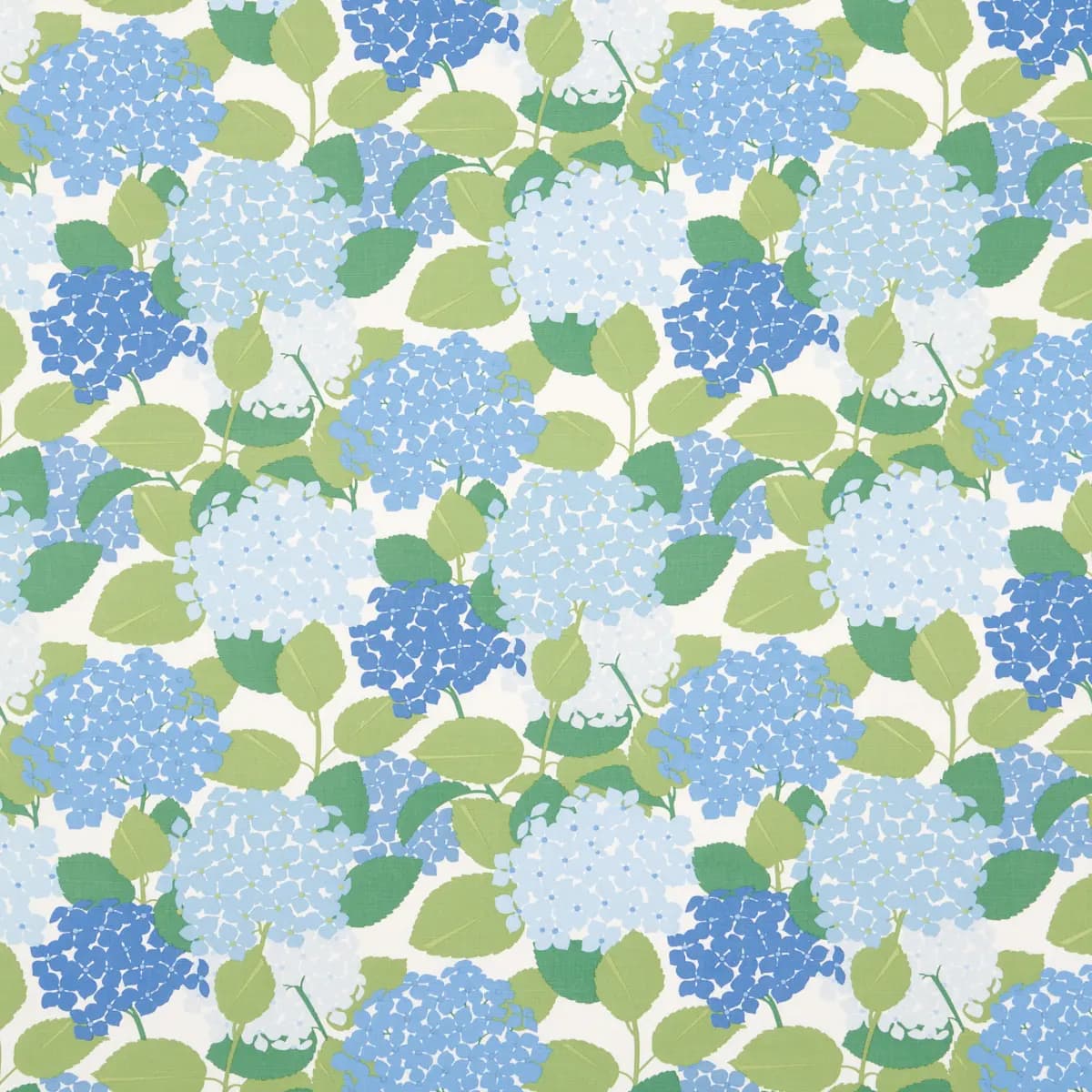 HYDRANGEA_ PORCELAIN