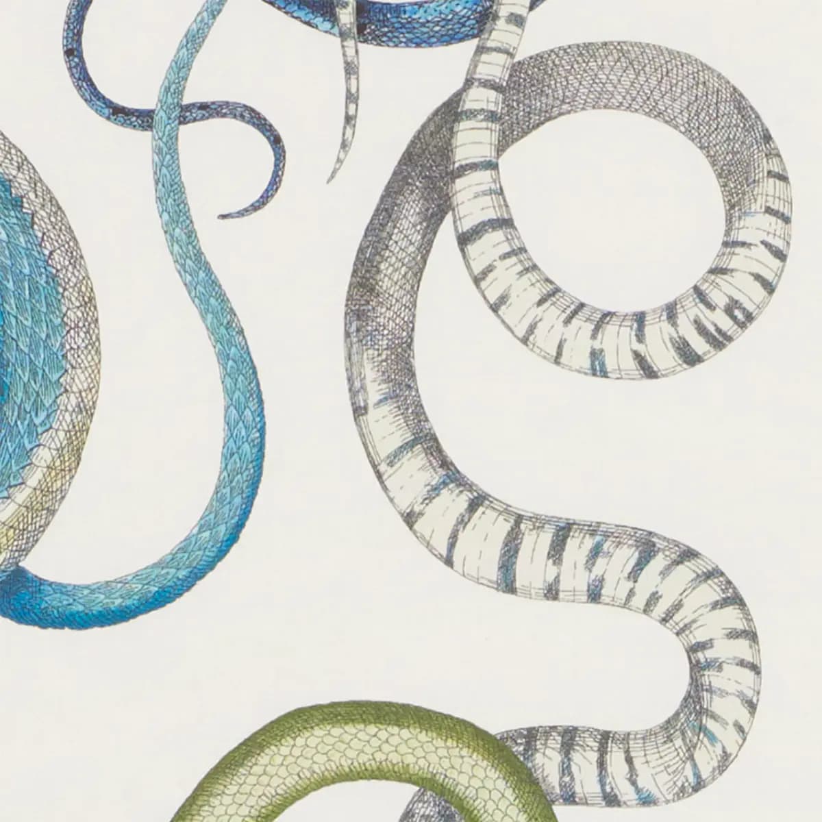 GIOVE_ EMERALD & SAPPHIRE