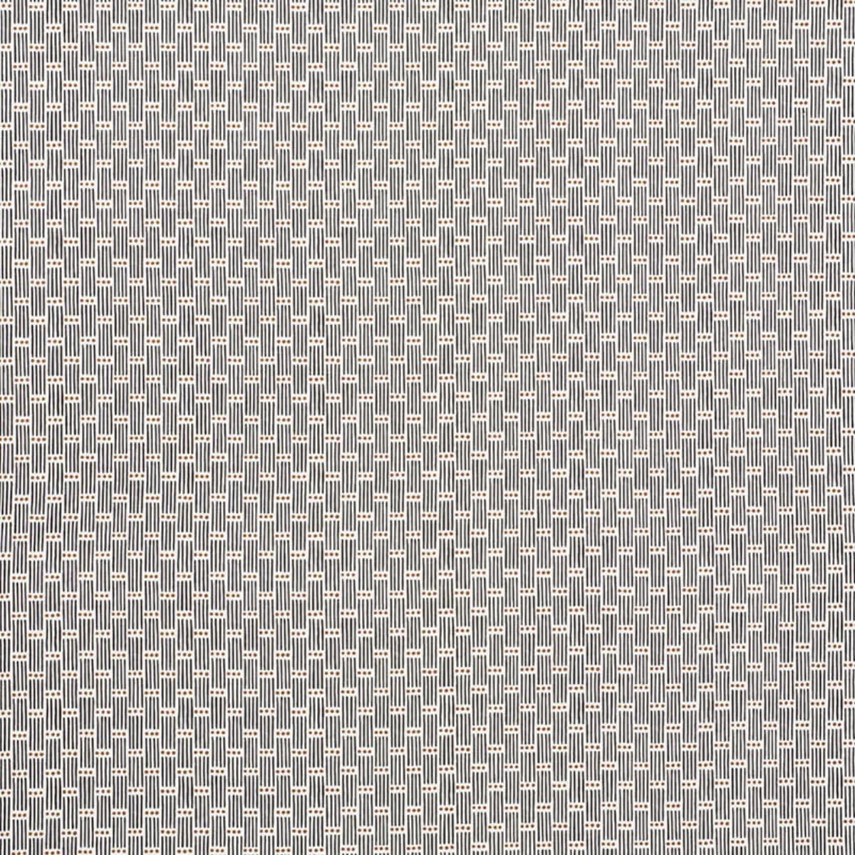 DOTTED STRIPE_ CARBON