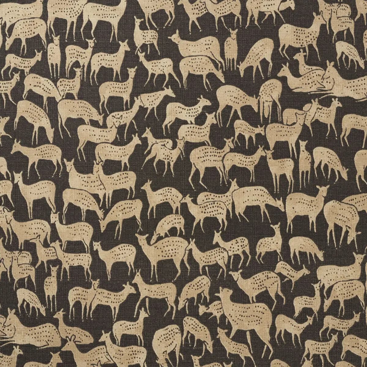FAUNA_ CARBON
