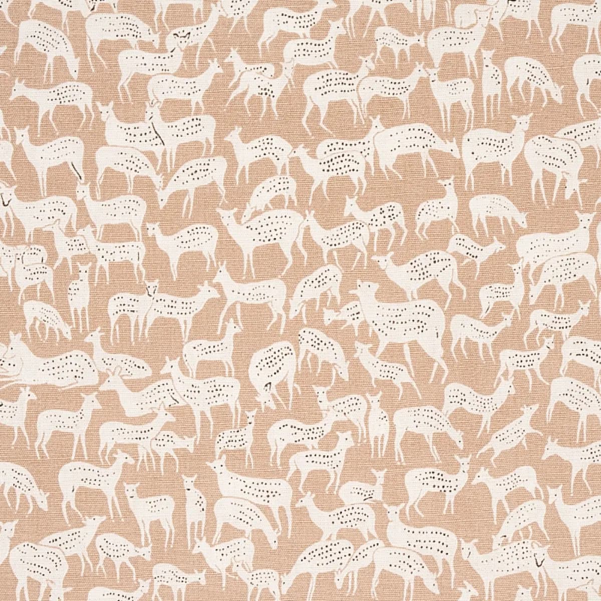 FAUNA_ FAWN
