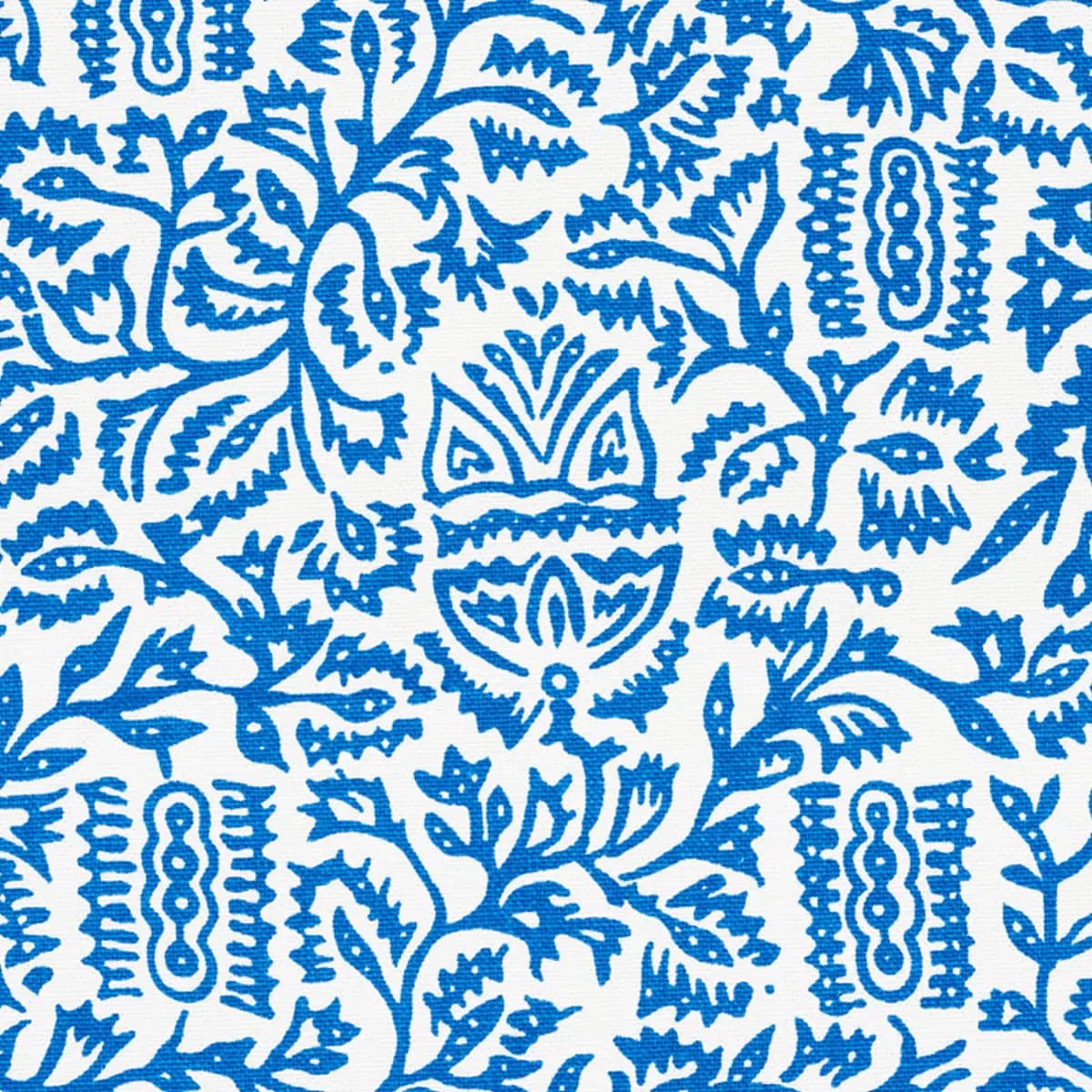 Morris_ BLUE