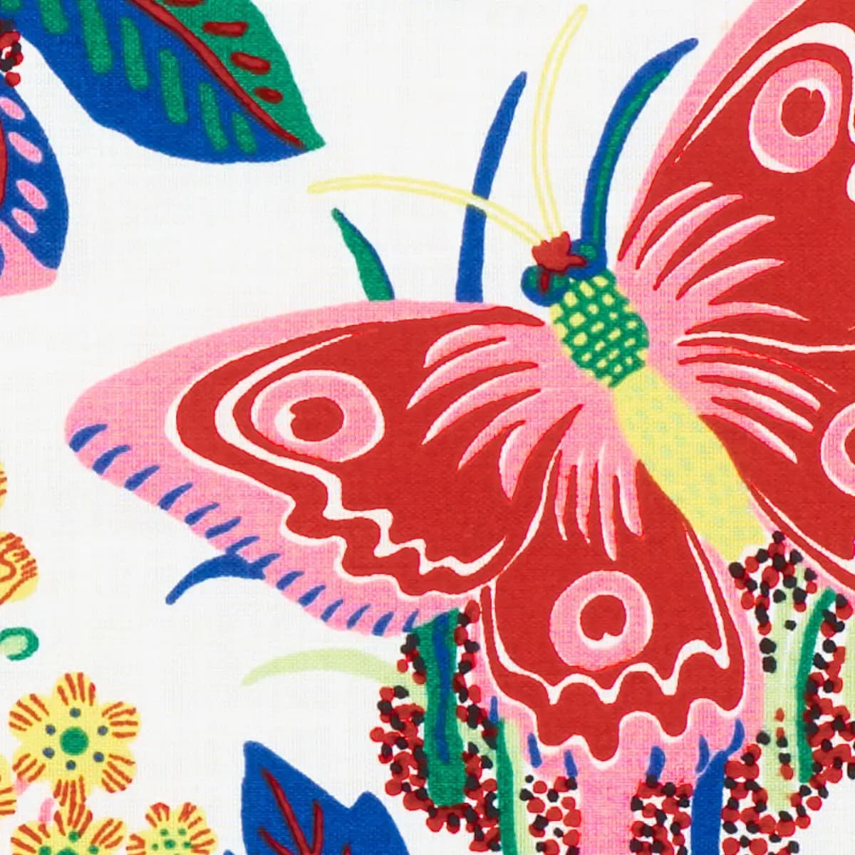 EXOTIC BUTTERFLY INDOOR/OUTDOOR_ SPRING
