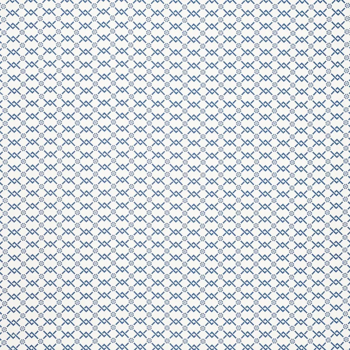 FRETWORK FLOWER_ PACIFIC