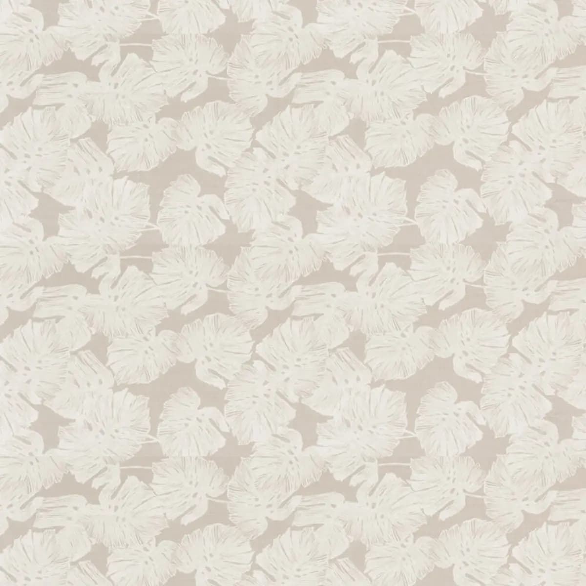 DEL COCO SHEER_ NATURAL