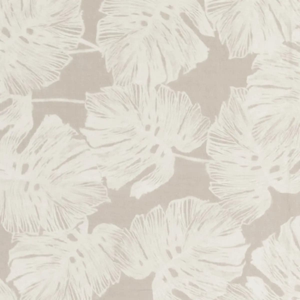 DEL COCO SHEER_ NATURAL