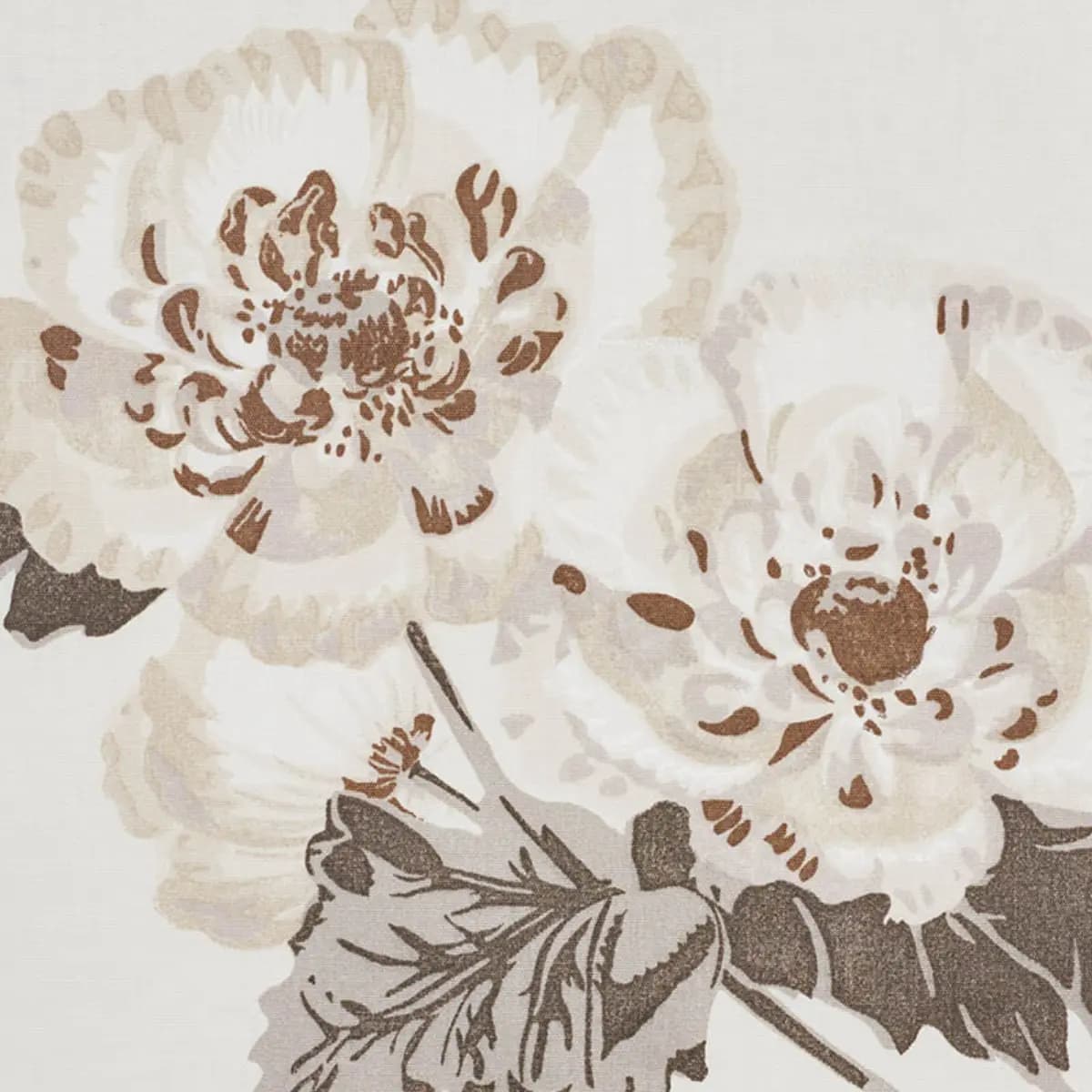 BETTY CHINTZ_ CHARCOAL
