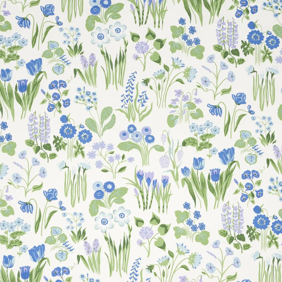 CARLY_ BLUE BELL