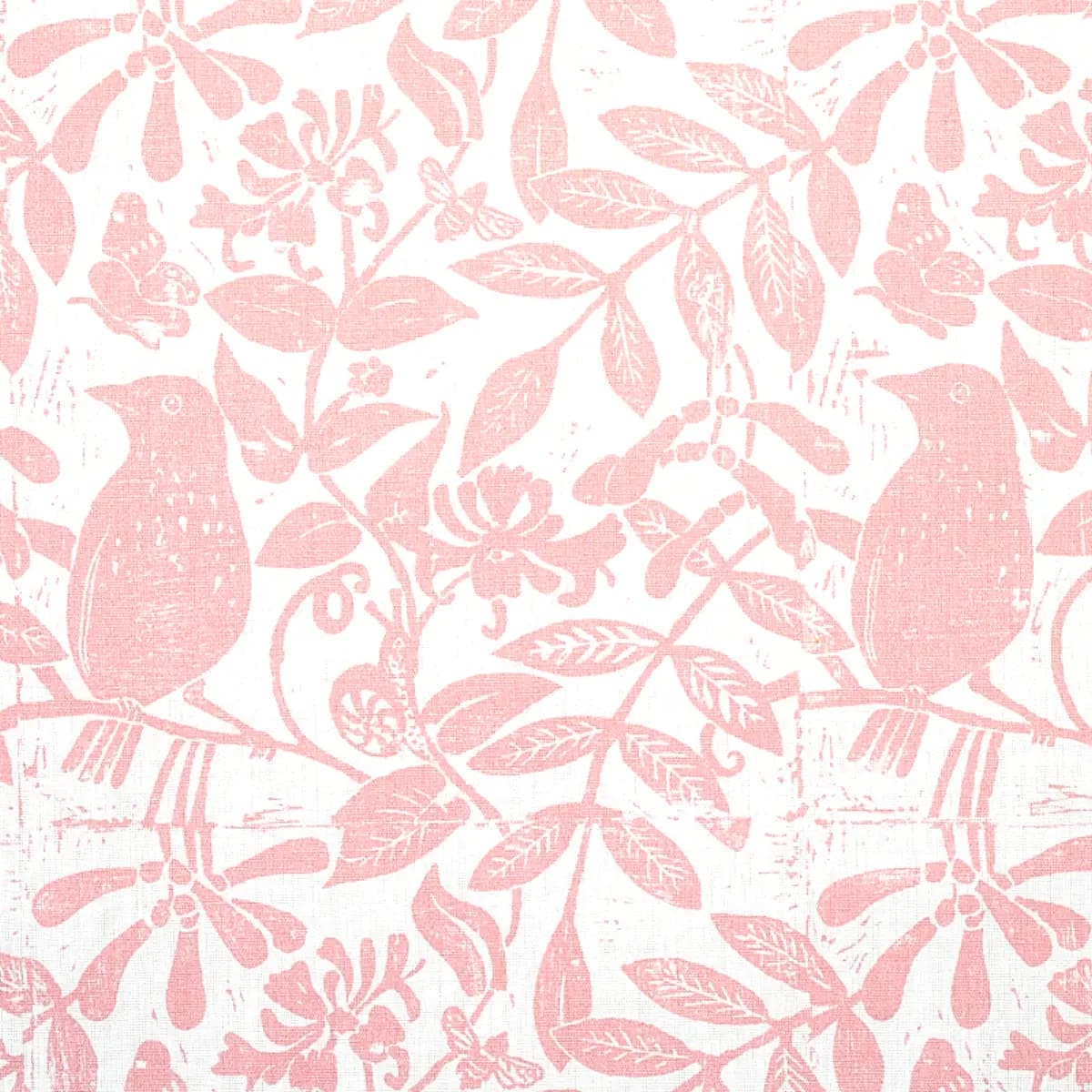 BIRD & BEE_ PINK