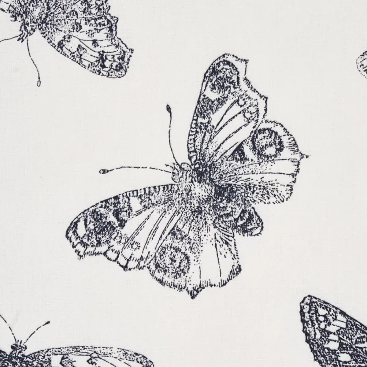 BURNELL BUTTERFLY_ BLACK