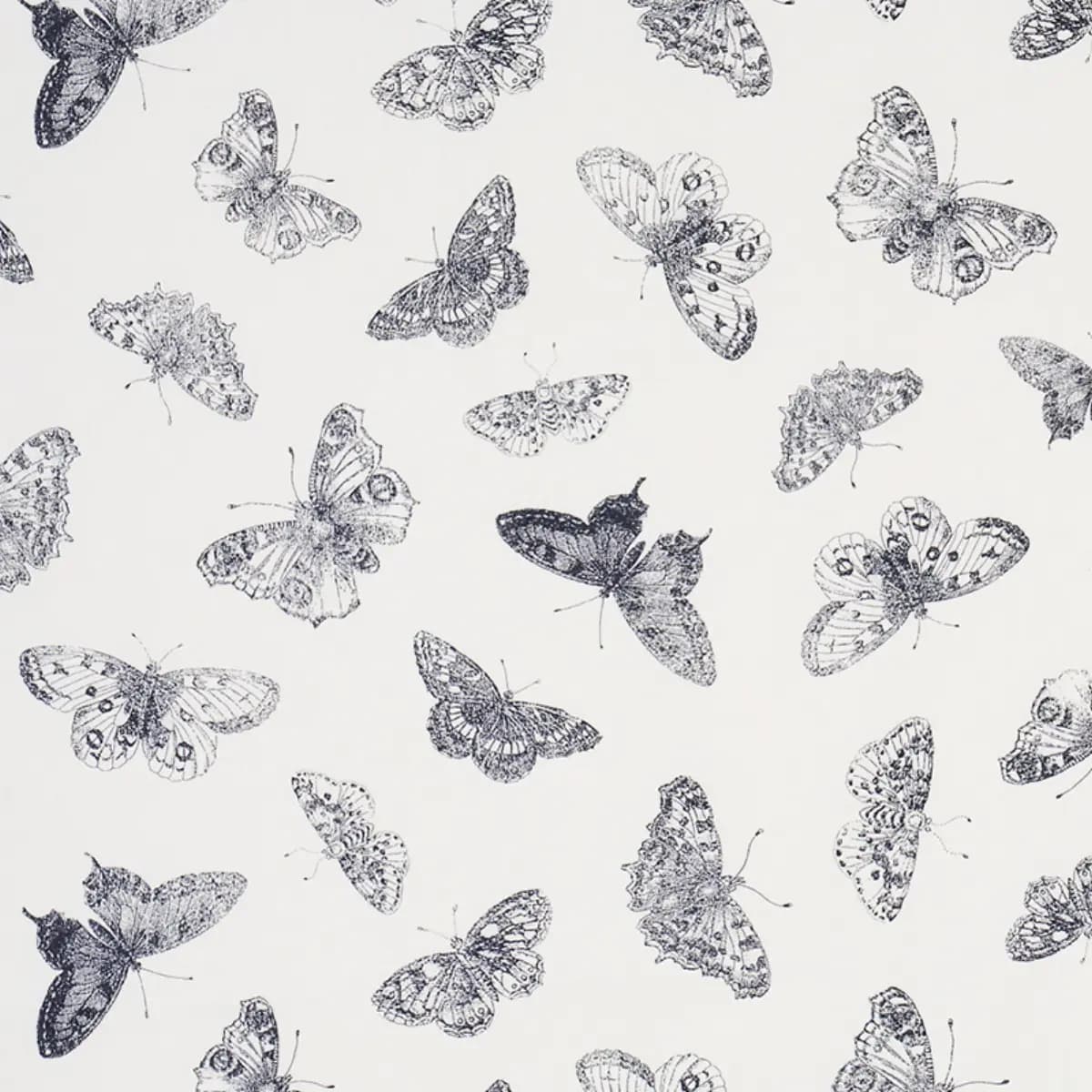 BURNELL BUTTERFLY_ BLACK
