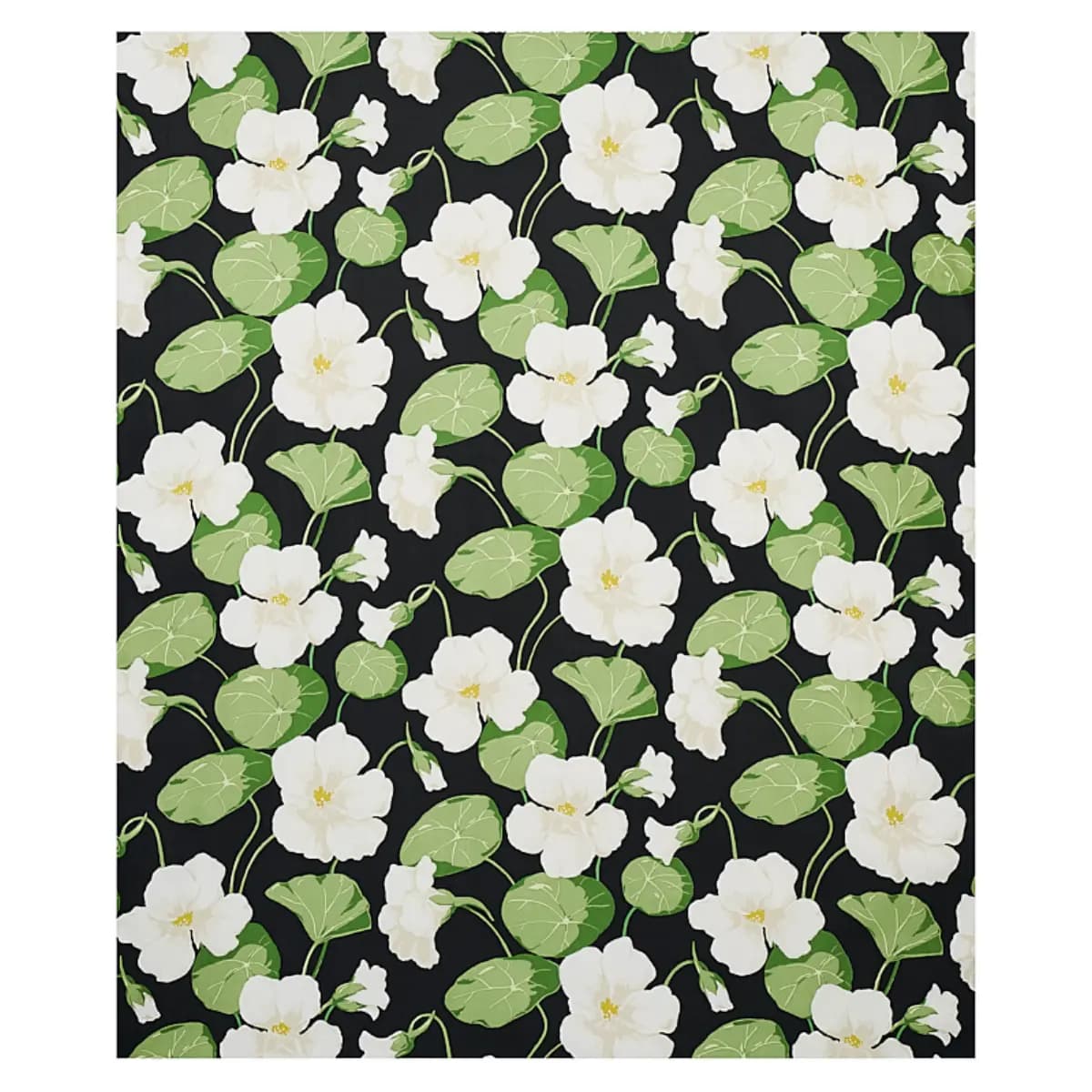 NASTURTIUM_ NOIR