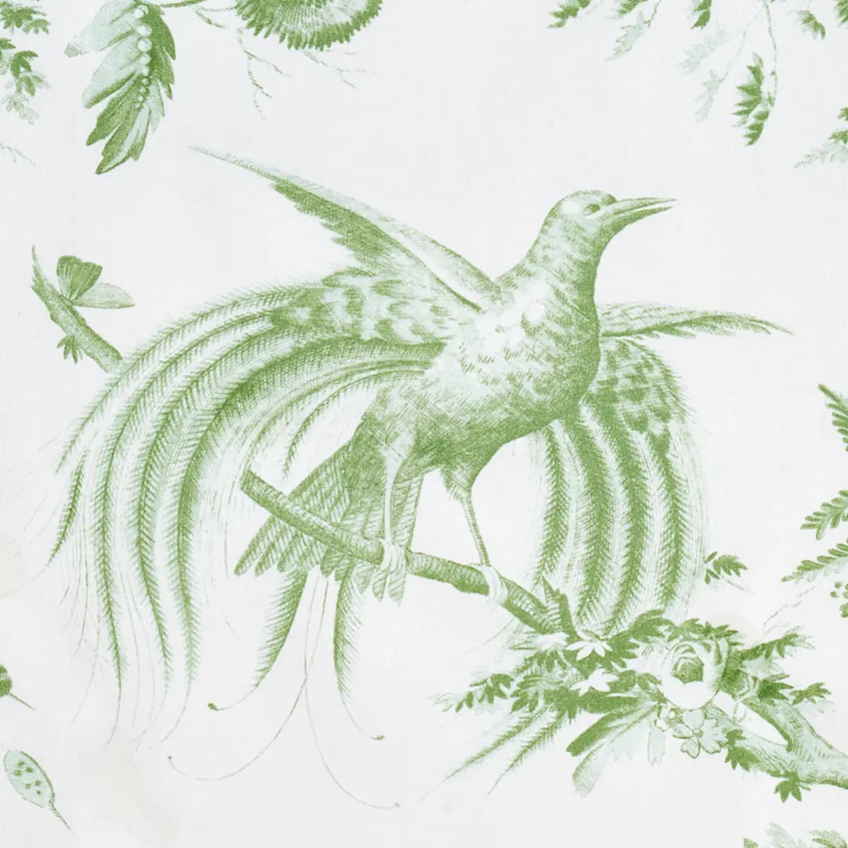 TOILE DE LA PRAIRIE_ GREEN