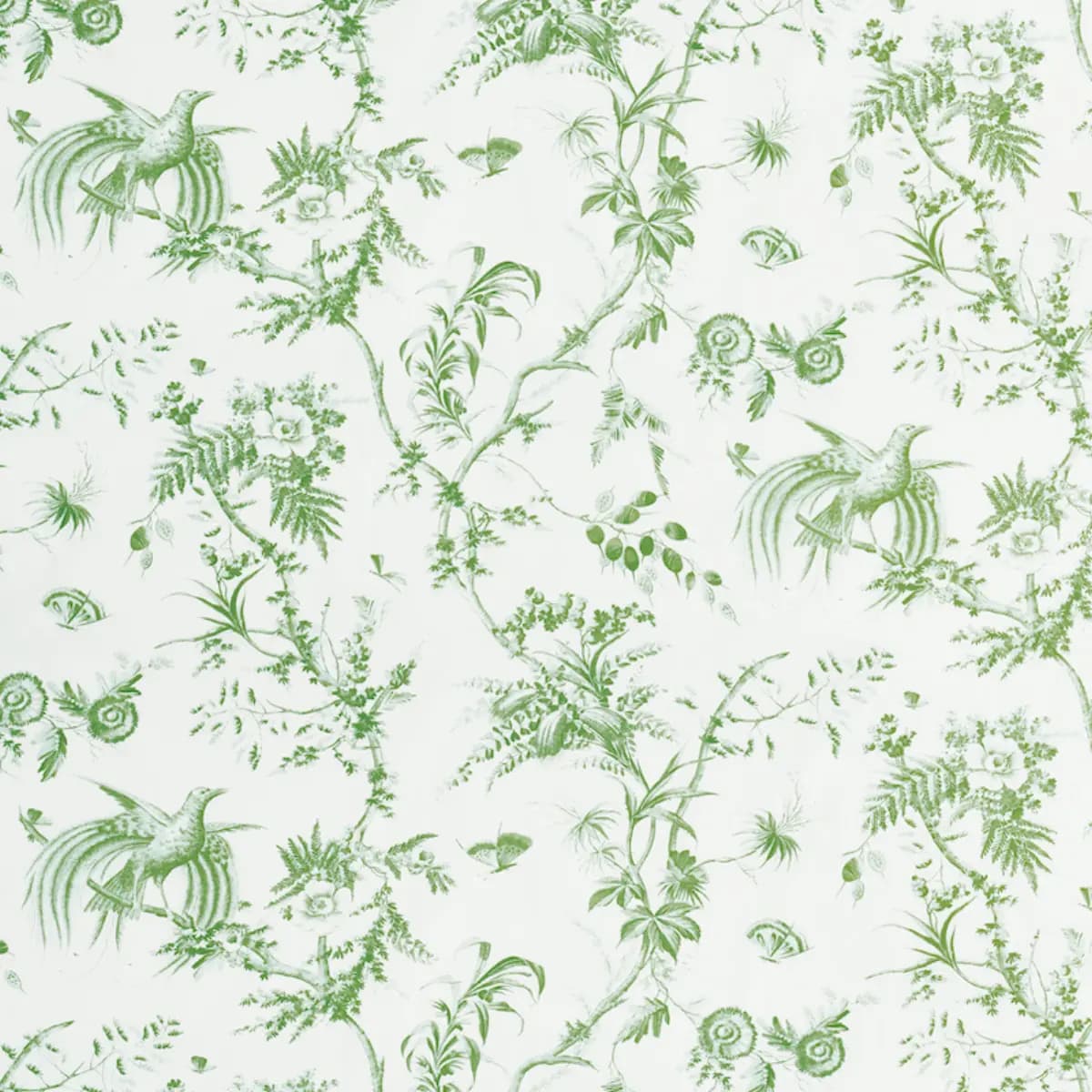 TOILE DE LA PRAIRIE_ GREEN