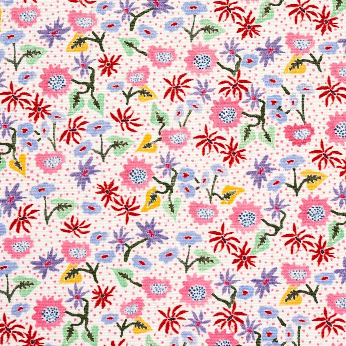 CALICO_ SPREZZATURA