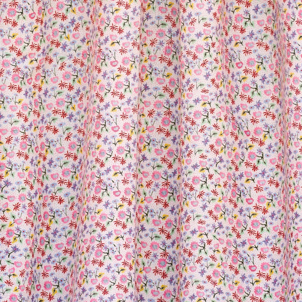 CALICO_ SPREZZATURA