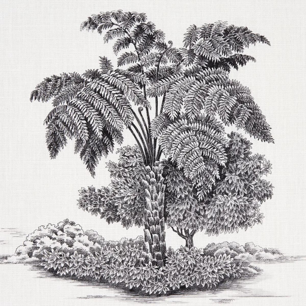 TOUSSAINT TOILE_ BLACK