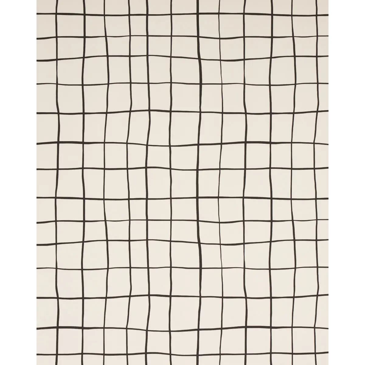 PAINTERLY WINDOWPANE_ BLACK