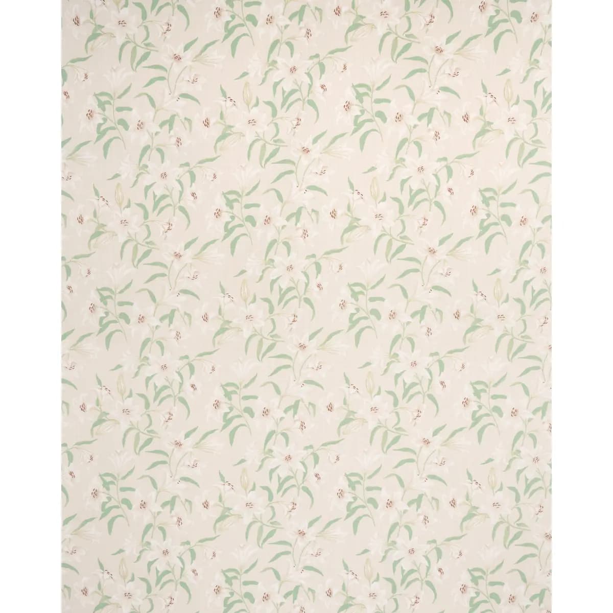 SCATTERED LILIES_ CREAM