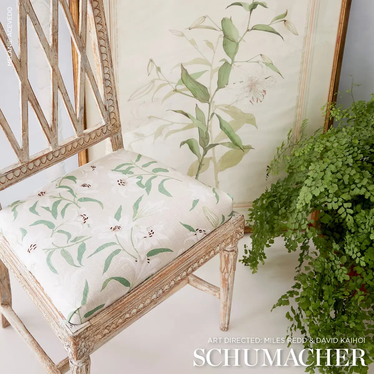 SCATTERED LILIES_ CREAM