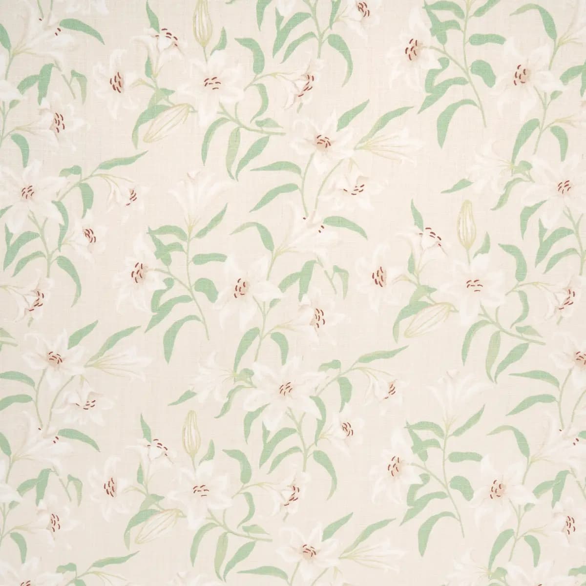SCATTERED LILIES_ CREAM