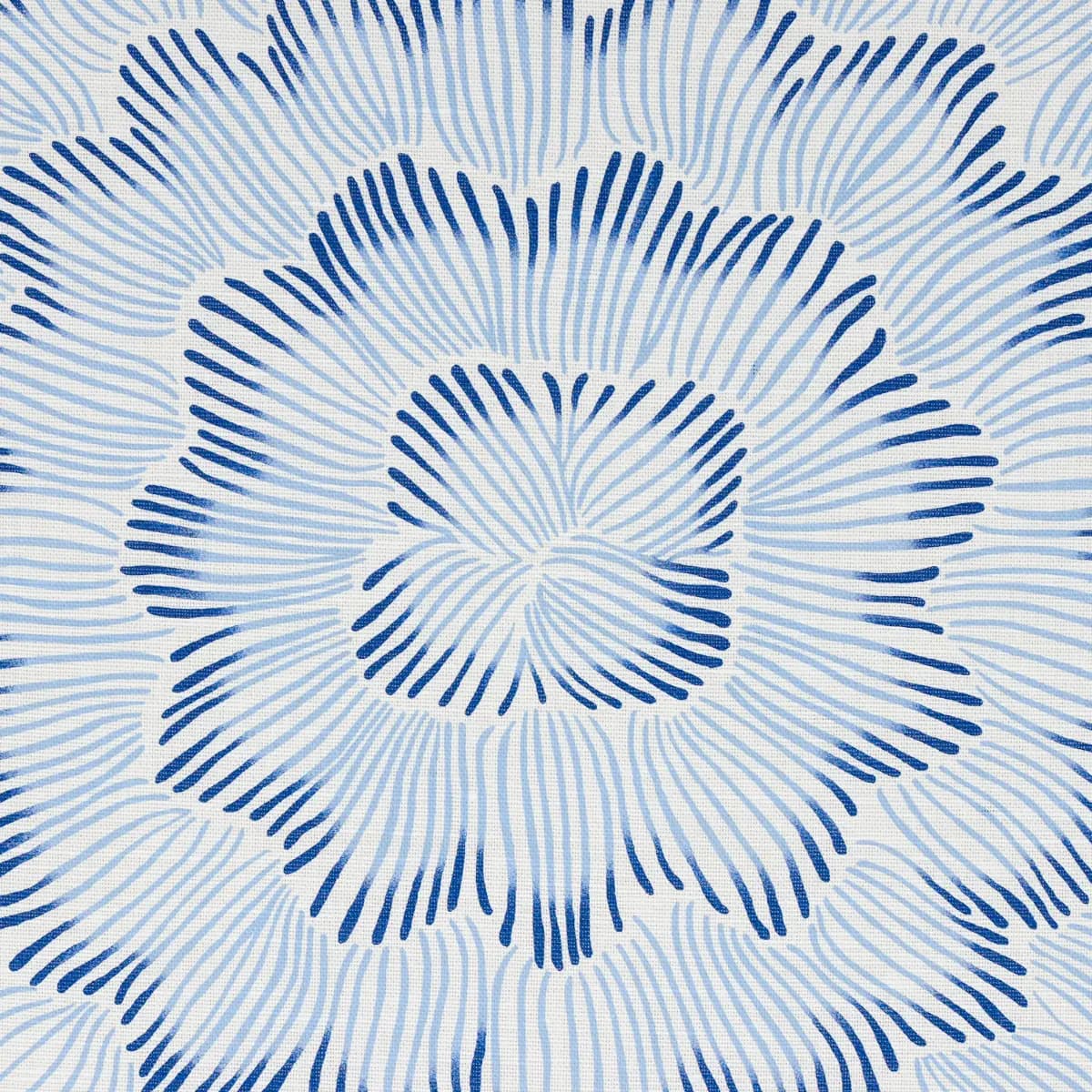 FEATHER BLOOM_ TWO BLUES