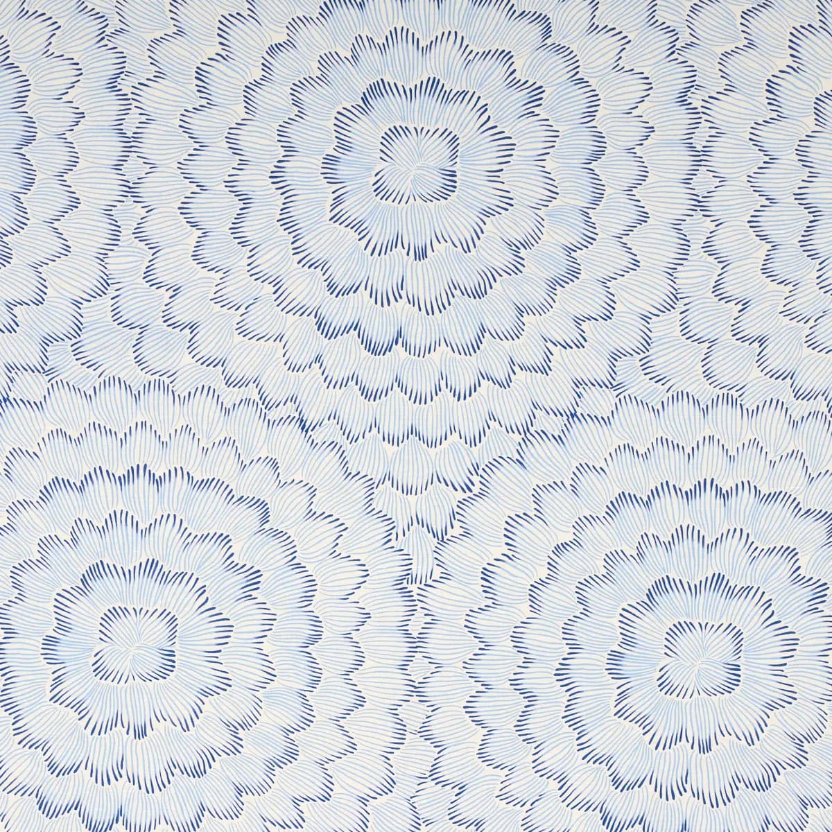 FEATHER BLOOM_ TWO BLUES
