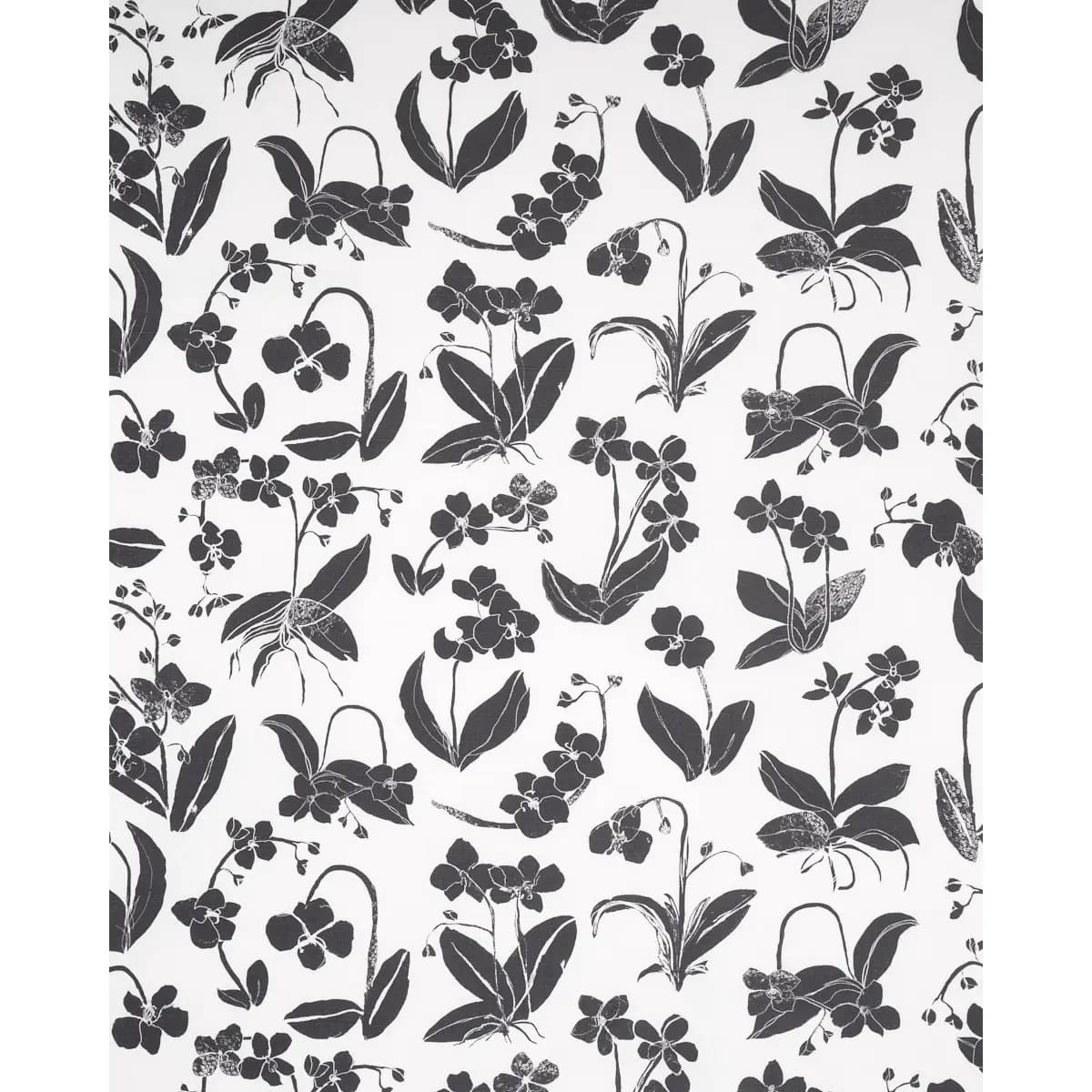 ORCHIDS HAVE DREAMS_ SOFT BLACK