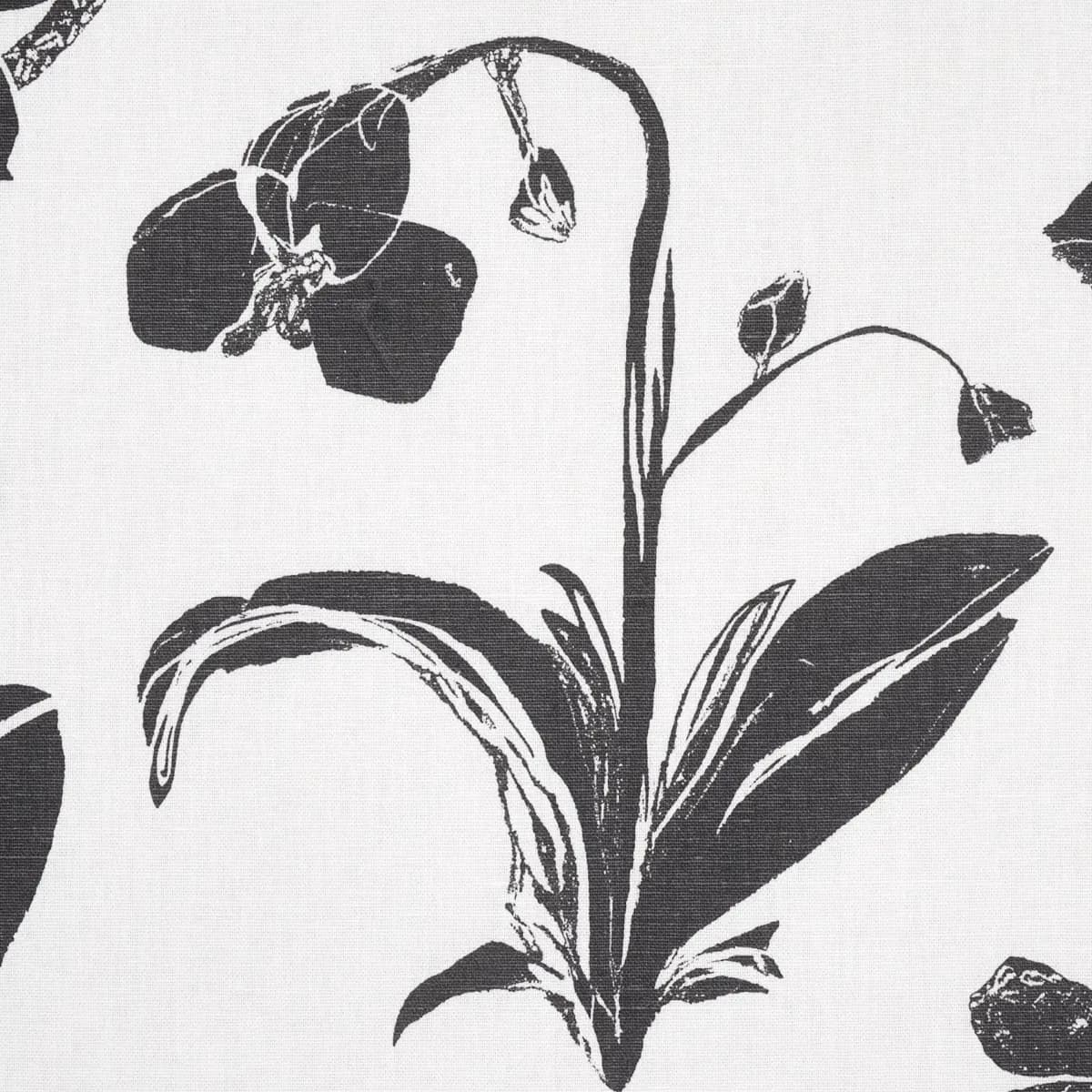ORCHIDS HAVE DREAMS_ SOFT BLACK